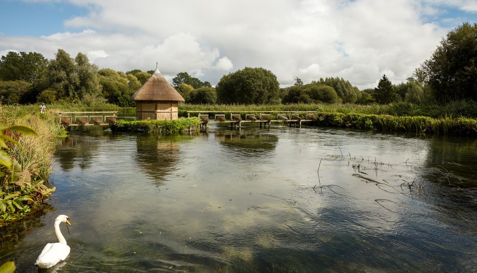 River Test in the Test Valley